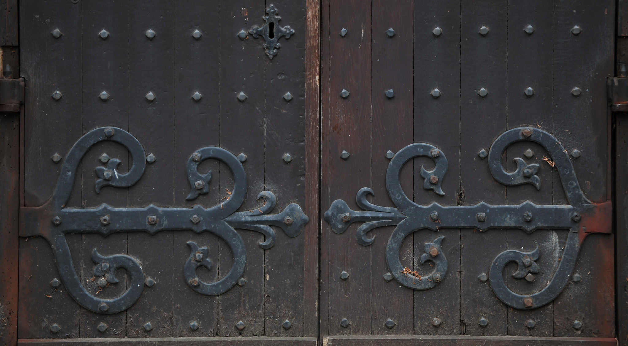 University wooden doors