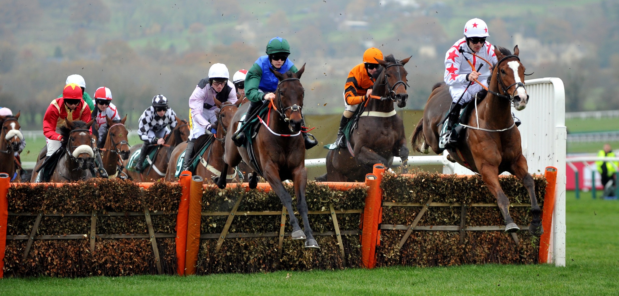 Horses at jump racing
