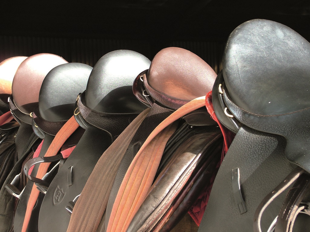 Horse saddles