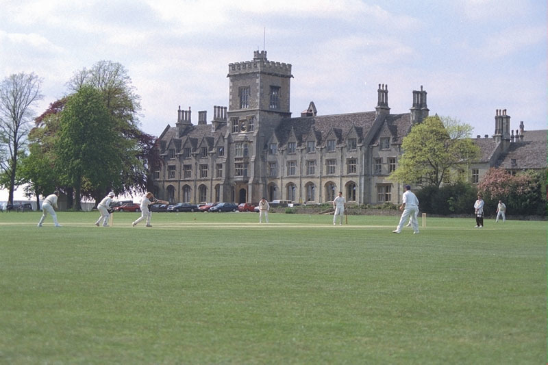Cricket on the Lawn