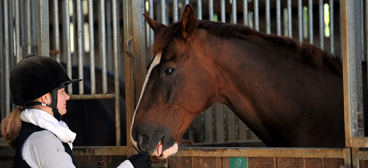 RAU student feeding a horse