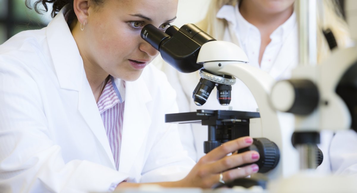 Research Students