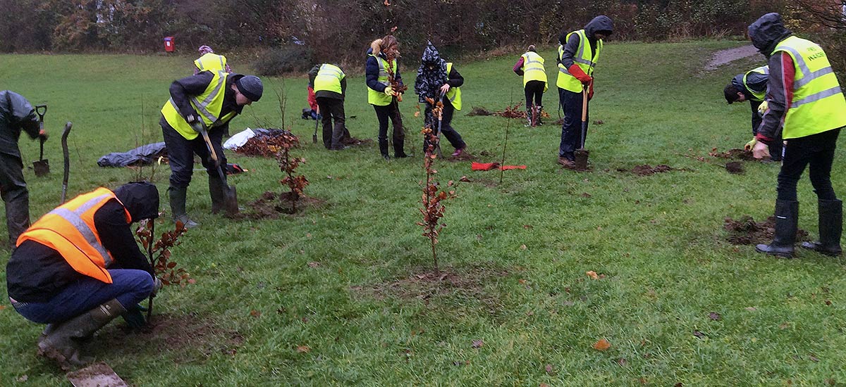 Students planting trees as part of National Tree week 2018