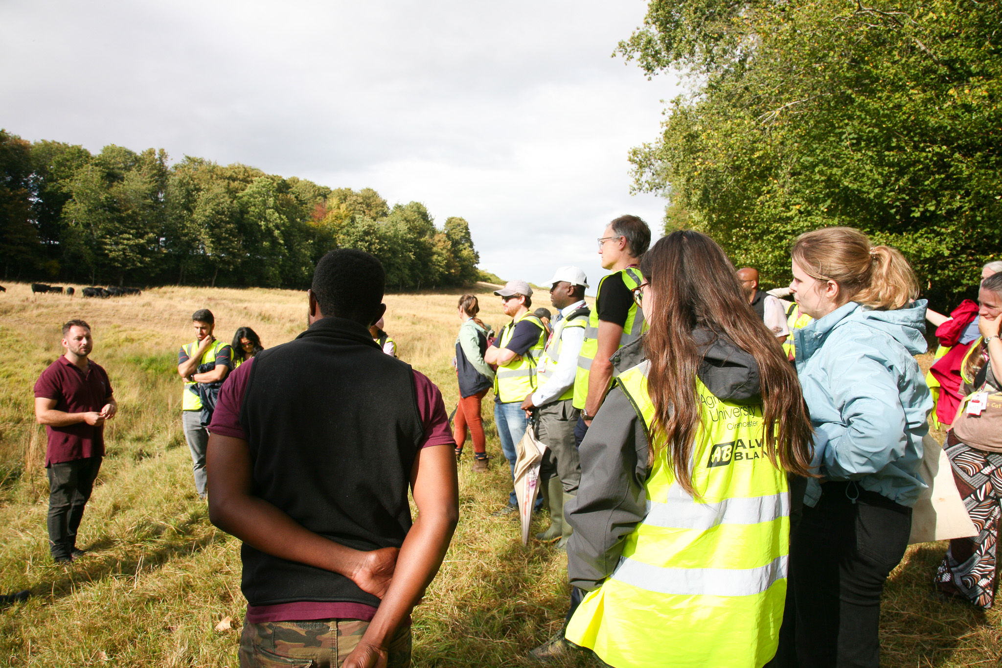 Delegates in a field listening to a farmer standing in front of a herd of cows