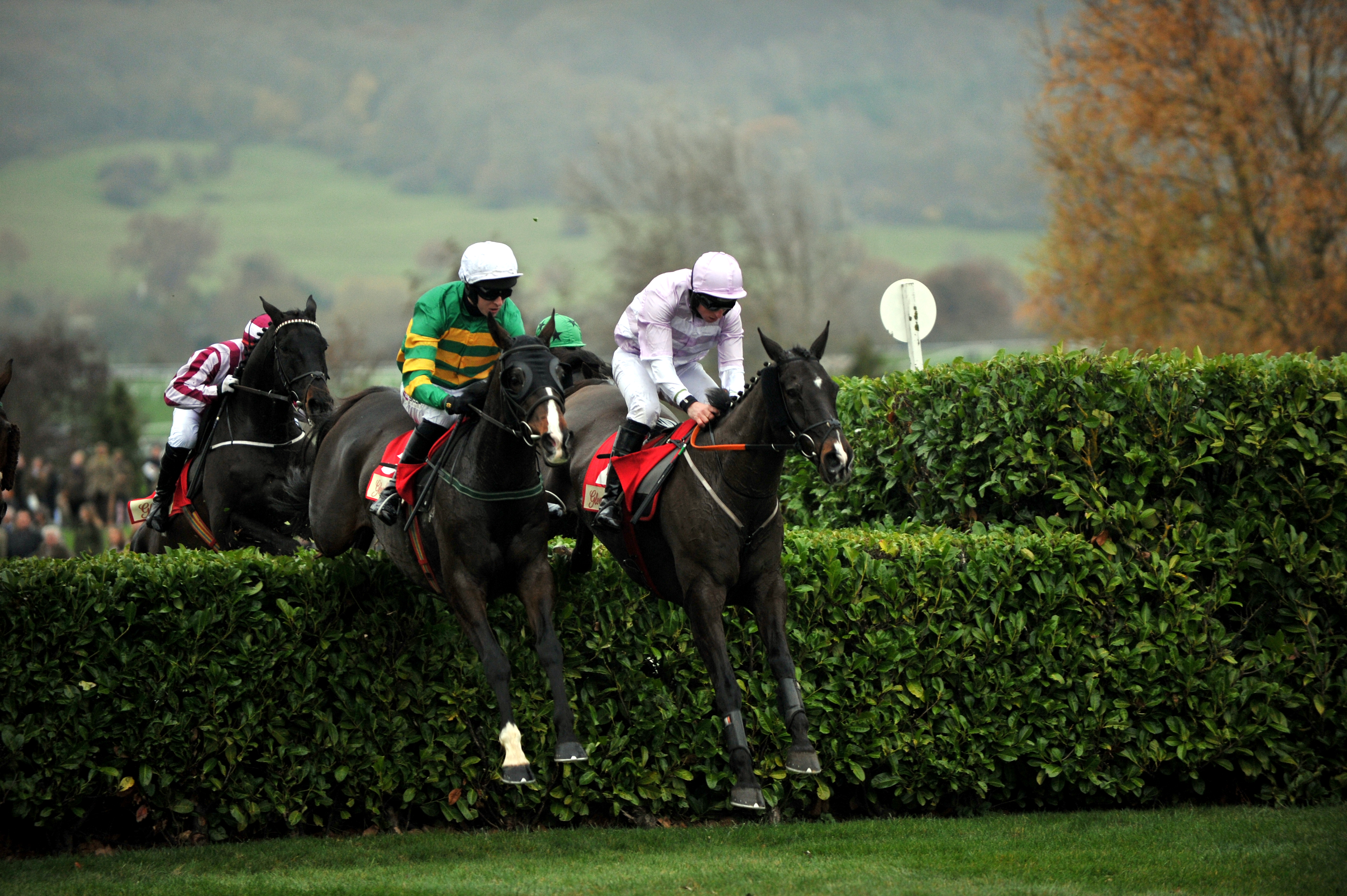 Cheltenham racecourse