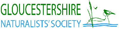 gloucestershire naturalists society logo