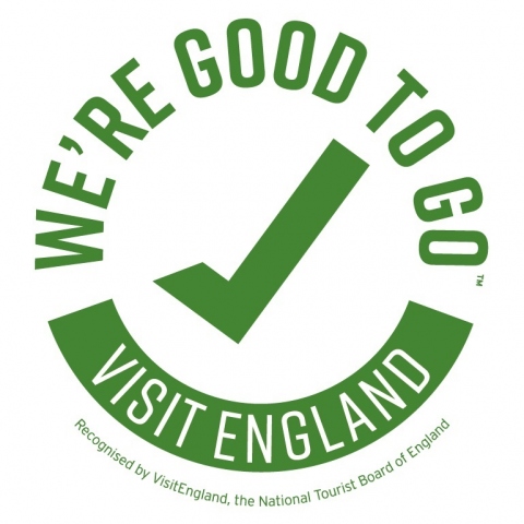 Good to Go logo