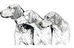 Hereford and Clifton Hunt logo