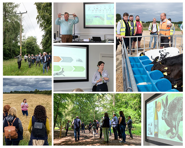 selection of images of students being taught about farming