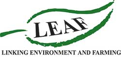 LEAF logo