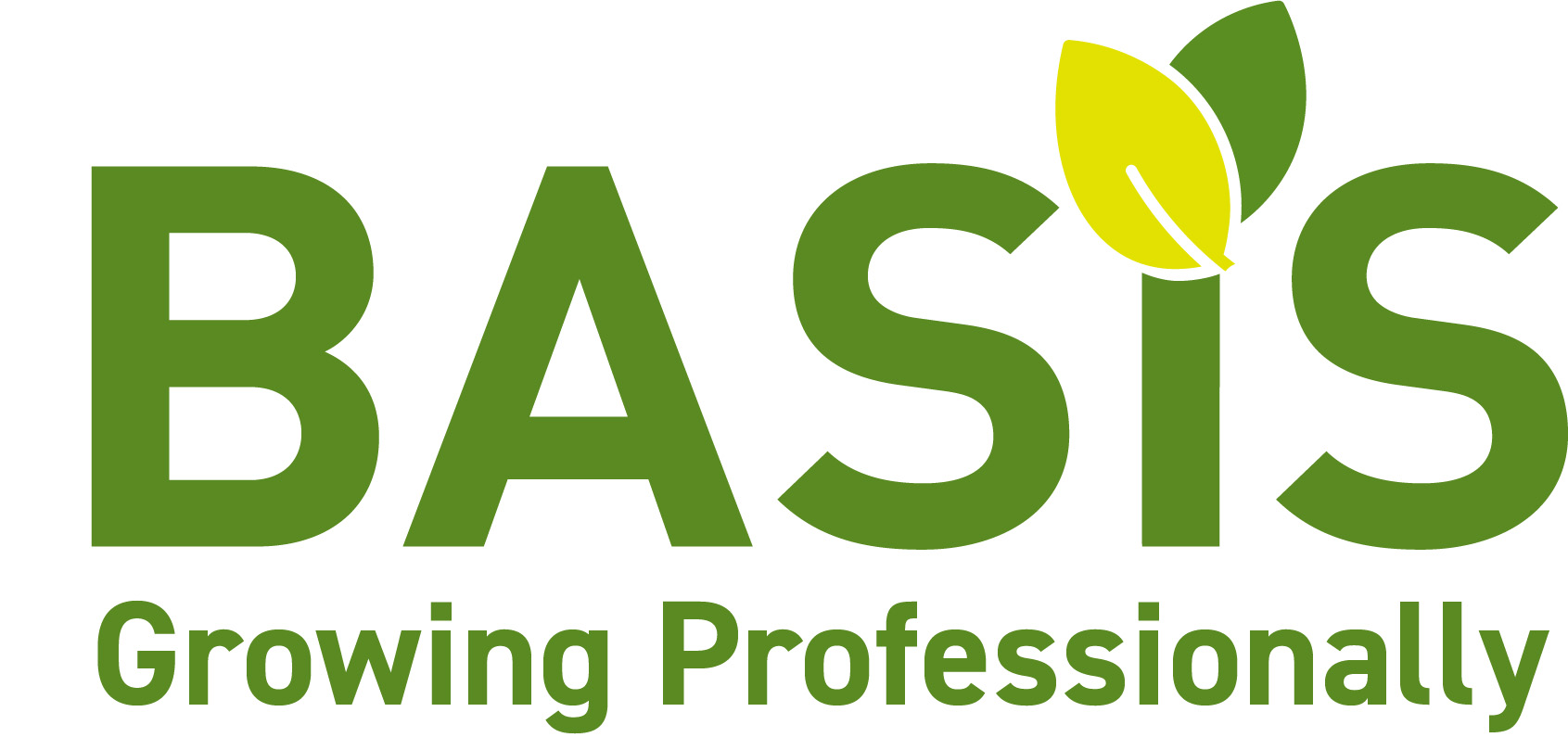BASIS Logo