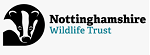 NWT Logo