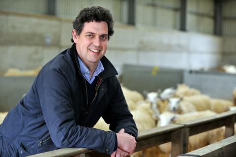 Photo of Professor David Main