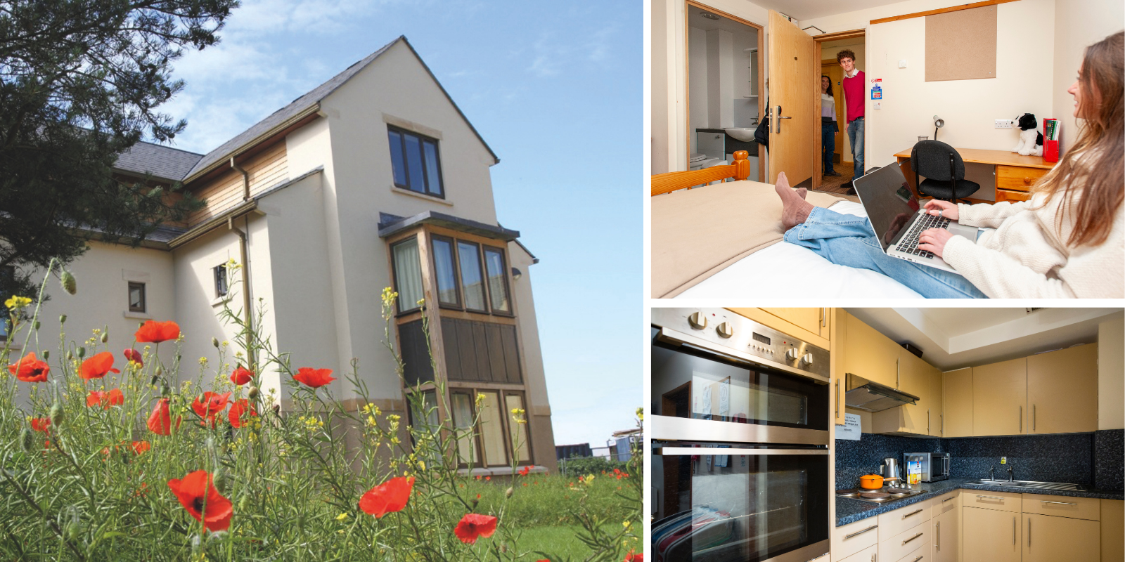 West Lodge accommodation