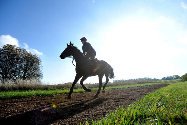 The canter track at Fossehill