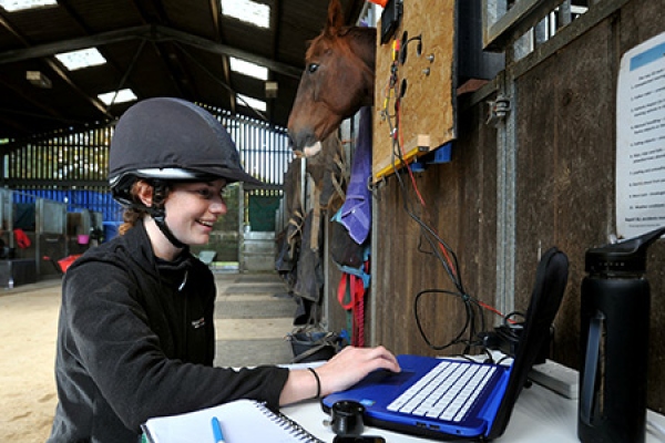 Rider working in stables