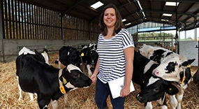 Agricultural student in calving shed
