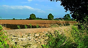 view over a dry stone wall and a ploughed field