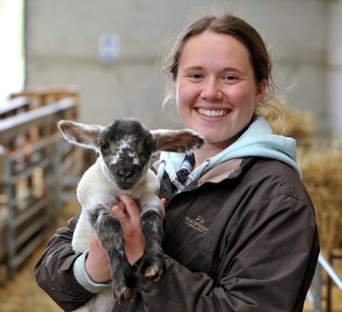 Image of Tayla Harding holding a lamb