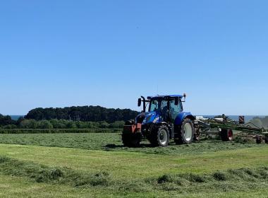Tractor mowing silage