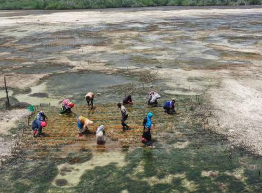 women fishing in zanzibar river