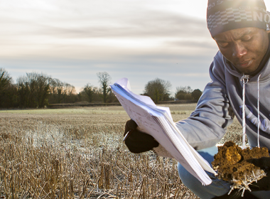 A person carrying out research in a crop field