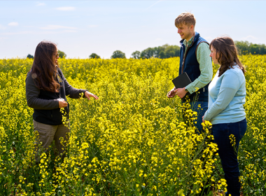 Dr Karen Rial-Lovera and two students in a crop field