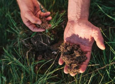 A hand holding soil