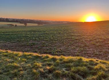 Sunrise over fields 