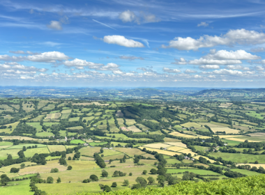 A diverse grassland landscape