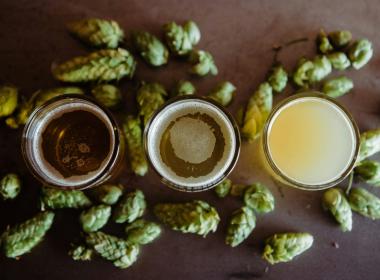 beer surrounded by hops