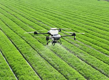 Drone over a field