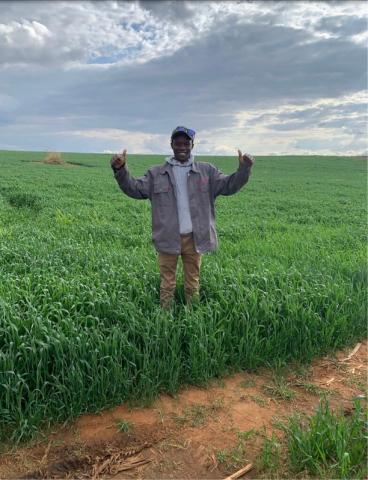 Tatenda Mazorodze stood in crop field