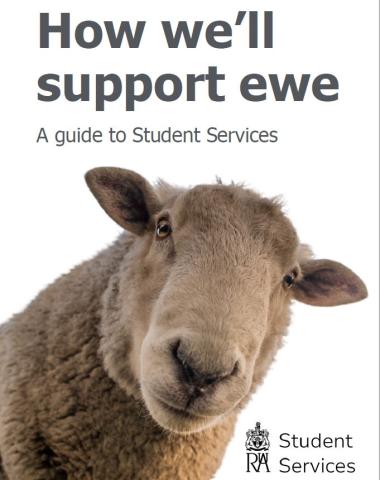 how we'll support ewe image of white sheep