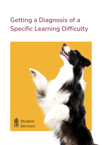getting a diagnosis of a specific learning difficulty and jumping dog