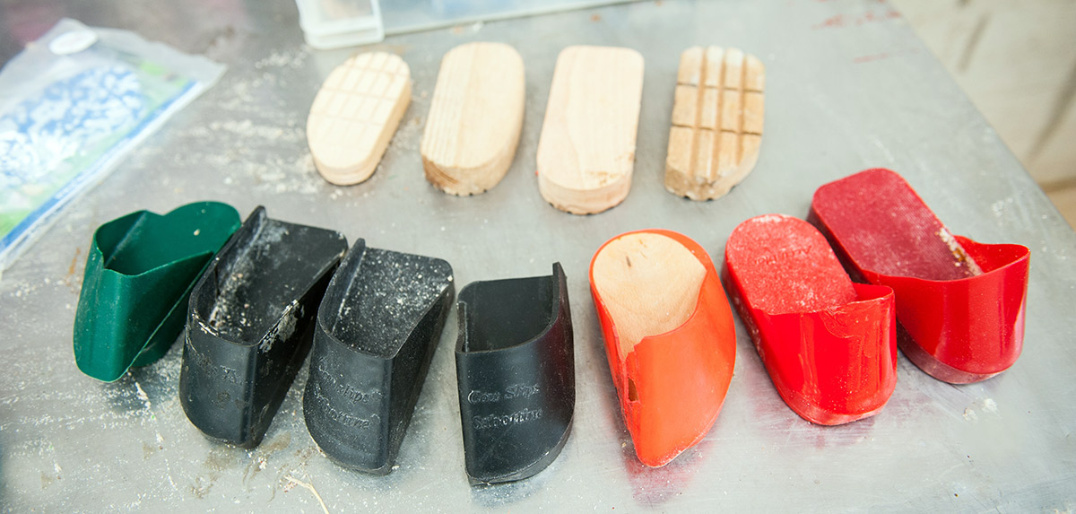 New cattle hoof trimming courses launch at Rural Innovation Centre